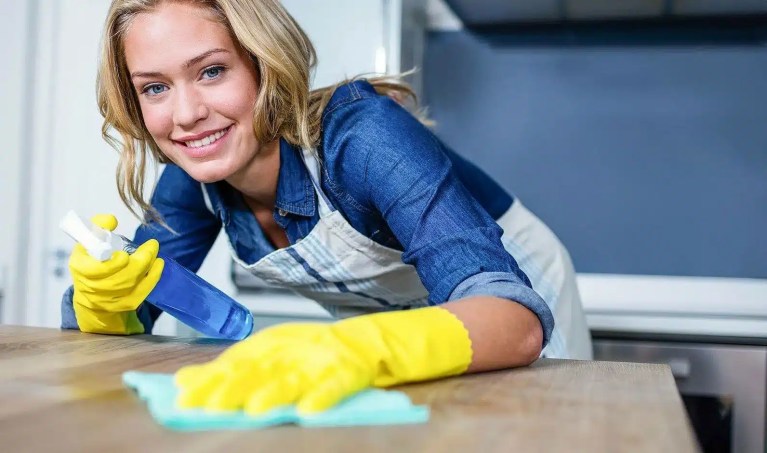professional cleaning services